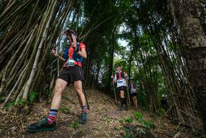 BIB: 
                            <button type="button" onclick="openModal(19395761)" class="btn btn-primary btn-sm float-right btn-popup" data-toggle="modal" data-target=".modal-high-quality">
                        <i class="fas fa-shopping-cart"></i> Add to Cart
                    </button>
                                            <button type="button" onclick="isThisMe(19395761, true)" class="btn btn-success btn-sm float-right btn-popup btn-isme hidden" data-toggle="tooltip" data-placement="bottom" title="นี่คือรูปของคุณใช่ไหม คลิกที่นี่เพื่อเอาเข้าอัลบั้ม">
                        <i class="fas fa-plus"></i> Add to album
                    </button>
                    <button type="button" onclick="isThisMe(19395761, false)" class="btn btn-warning btn-sm float-right btn-popup btn-isnotme hidden">
                        <i class="fas fa-ban"></i> Remove from album
                    </button>